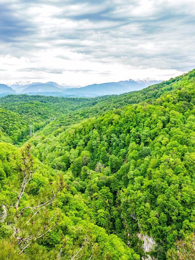 BEST TOURIST PLACE IN ARUNACHAL PRADESH , BEST VISIT IN 2025