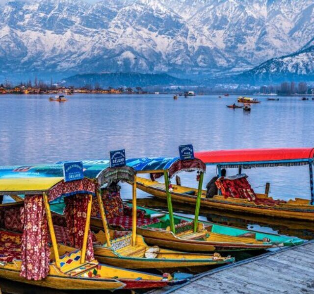 Shikara-boats-floating-on-Dal-Lake
