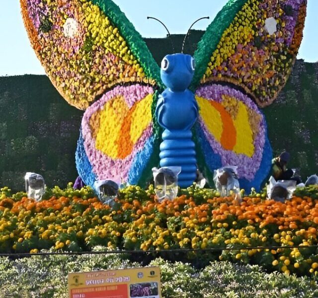 flowershow12 (1)