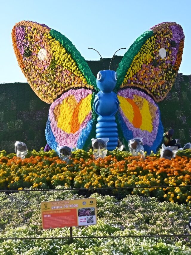 Ahmedabad International Flower Show 2025 Location Information